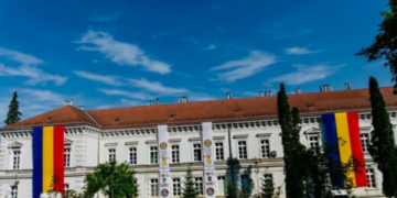 Sesizare prealabilă | Un spital militar poate fi inculpat pentru mită?