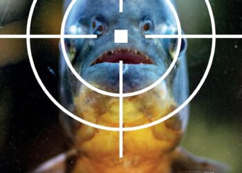 Ecologistul Andrei Togor nu crede în filme cu ”piranha made in Oradea” | “Probabil mulți se și vedeau sfâșiați de acești pești, în timpul băilor de la Silvaș”