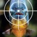 Ecologistul Andrei Togor nu crede în filme cu ”piranha made in Oradea” | “Probabil mulți se și vedeau sfâșiați de acești pești, în timpul băilor de la Silvaș”