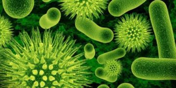 Organismul unui tânăr bihorean, devorat de o bacterie necunoscută. E în comă indusă la Cluj după mai multe intervenții chirurgicale. Are nevoie de sânge