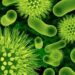 Organismul unui tânăr bihorean, devorat de o bacterie necunoscută. E în comă indusă la Cluj după mai multe intervenții chirurgicale. Are nevoie de sânge