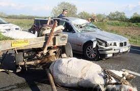 Martor la accidentul de la Tinca: Am rămas șocată ce au văzut ochii mei. Șoferul plângea, un lemn intrat prin parbriz, până în portbagajul mașinii