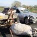 Martor la accidentul de la Tinca: Am rămas șocată ce au văzut ochii mei. Șoferul plângea, un lemn intrat prin parbriz, până în portbagajul mașinii