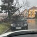 Copaci căzuți sub rafalele de vânt pe Coposu.În zona Liceului Economic, și în Episcopia, copaci căzuți pe mașini, dar și pe blocuri