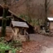VIDEO. Și-au construit un colț de rai și o afacere de milioane plecând dintr-un vagon forestier împrumutat. De la păstrăvi vânduți cu sacoșa, la vânzări de 8 t/an