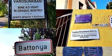 Focar de gripă aviară la 7 km de graniță într-o fermă cu 2000 de gâște