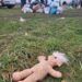 GALERIE FOTO. Copilărie printre șobolani. Pun capul pe pernă la groapa de gunoi a orașului