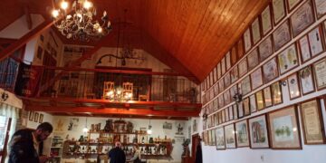 GALERIE. Au vrut să afle secretele satului Hajós, satul fără nici un locuitor, dar cu 1256 de pivnițe. Sălacea caută pașaport pentru a intra în rețeaua satelor de pivniță din Europa Centrală