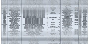 1000 de locuri de muncă disponibile în Bihor. Doar 34 sunt pentru cei cu studii superioare