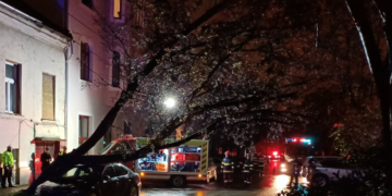 Mașina CJ Bihor, strivită de un copac pe Iuliu Maniu. Copacul a rupt și firele de electricitate și a lăsat mai multe străzi în beznă