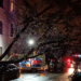 Mașina CJ Bihor, strivită de un copac pe Iuliu Maniu. Copacul a rupt și firele de electricitate și a lăsat mai multe străzi în beznă