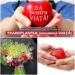 Prima prelevare din 2023. În timp ce un orădean pierdea lupta, miercuri noaptea, o cursa contracronometru pentru viață începea la Spitalul Județean Oradea