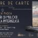 Casele Oradiei interbelice, surprinse într-un volum special de istoricul Mircea Paşca