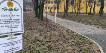 Cuplurile, invitate pe Calea soților la Palatul Baroc. Azi începe Săptămâna căsătoriei