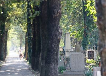 Pregătiți să dezgroape 11.000 de morți din Oradea. În premieră, evacuarea mormintelor a început