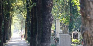 Pregătiți să dezgroape 11.000 de morți din Oradea. În premieră, evacuarea mormintelor a început