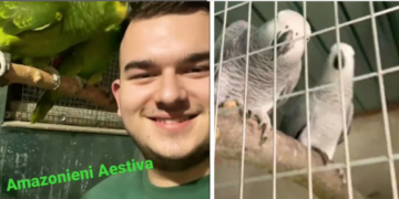 GALERIE/VIDEO. Un tânăr de 19 ani are o microfermă de peste 700 de păsări, unele dintre unicat în România