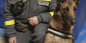 Povestea impresionantă a unui salvator și a câinelui Speedy care caută viață printre ruinele din Turcia