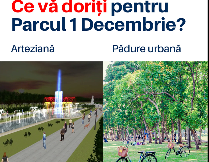 Vor să transforme Parcul 1 Decembrie într-o pădure urbană. Primăria vrea arteziană și „execuția” copacilor