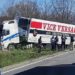 Cu camionul în copac. Pasagerul și șoferul au primit îngrijiri medicale