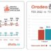 Cum a evoluat prețul chiriilor. Cum se raportează Oradea la marile orașe