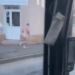 Un bărbat de 56 de ani, filmat alergând gol prin Rogerius