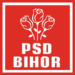 Cine mai conduce PSD Bihor. Au undă verde de la centru