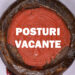 Primăria unde, după moartea primarului,  aproape toate posturile sunt vacante