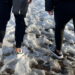 Doi turiști inconştienţi le-au făcut noapte albă, de Înviere, salvamontiştilor din Neamţ: au încercat să escaladeze Ceahlăul în colanţi şi gleznele goale