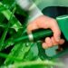 Apare biocombustibilul în benzinării. Crește consumul cu 10%. Cum îl poți reduce. Mașinile cu biocombustibili sunt mai predispuse la defecțiuni