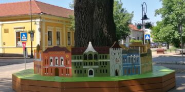 Copacul-surpriză construit în jurul celui mai bătrân stejar din Salonta