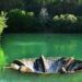 Greii din construcții, asociați să refacă un loc de poveste, mica minune inginerească, un pionierat în ceea ce privește construcțiile din România, Lacul Vida