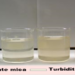 Orașul din Bihor în care consumatorilor li se cere să nu bea apă de la robinet