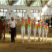 Cei mai curajoși gimnaști, exerciții incredibile pe cai