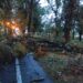 GALERIE. VIDEO. În doar 5 minute…Parcurile 1 Decembrie, Bălcescu și Brătianu, practic, nu mai există