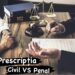 DNA cere respectarea deciziilor CCR pe prescriptie: “Se vor formula concluzii de incetare a procesului penal in cauzele in care este implinit termenul general de prescriptie… Nu se vor formula cai de atac exclusiv pe gresita incetare a procesului penal…“