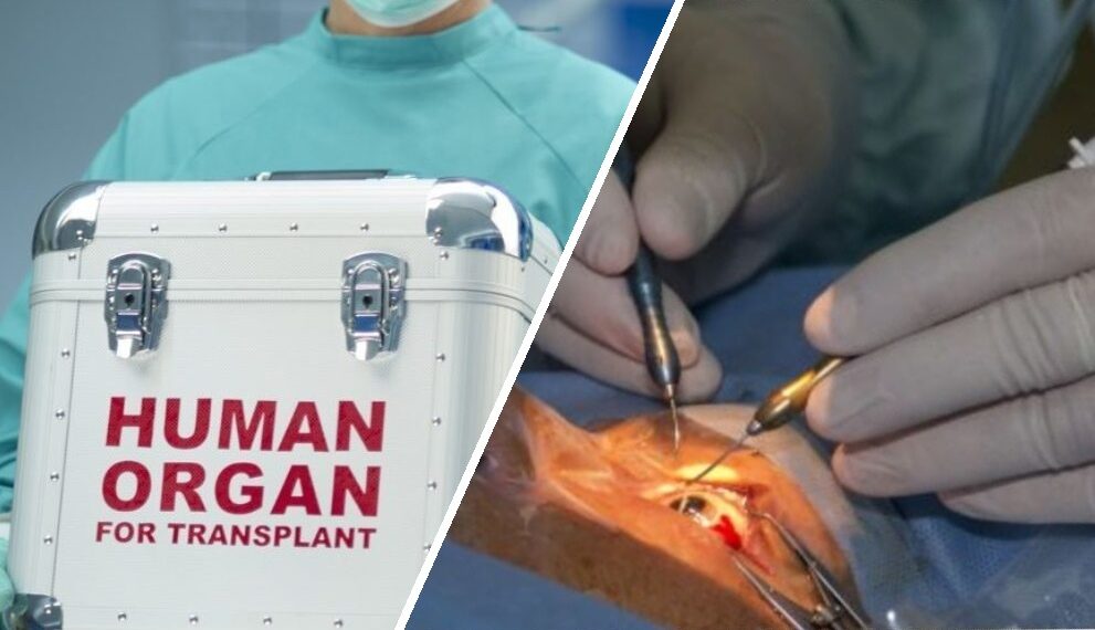 Medici trimişi în judecată pentru trafic de organe / Şi-au făcut afacere din importul ilegal a sute de cornee