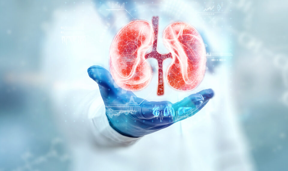Cancer renal cu multiple metastaze, vindecat complet. Medicamentul aprobat în UE elimină celulele canceroase