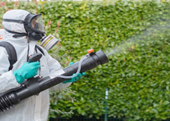 Încep dezinsecțiile. Orădenii sfătuiți să nu stea în raza de acțiune a utilajelor în timp ce acestea pulverizează  insecticide