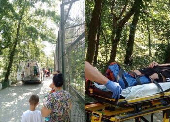 Bărbat muşcat de tigru la Zoo Bârlad / Şi-a băgat piciorul în cuşca animalului