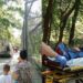 Bărbat muşcat de tigru la Zoo Bârlad / Şi-a băgat piciorul în cuşca animalului