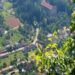 Cel mai verde oraș din Bihor e și cel mai mic. Singurul care asigură mai mult 50m spațiu verde pe cap de locuitor