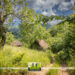 Stațiune din Bihor promovată cu campioni la Budureasa Mountain Running 2023