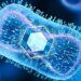 Bacterii contra cancer. Terapia cu o singură doză de tratament care să nu coste mai mult de un dolar