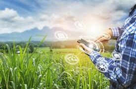 10  companii din județul Bihor care activează și fac angajări în agricultură fac angajări