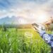 10  companii din județul Bihor care activează și fac angajări în agricultură fac angajări