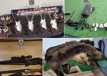 Vip-urile din dosarul de braconaj, libere. Totul a început cu un foc de armă tras la miezul nopții în Tinca