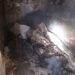 Un bărbat din Ghiorac a fost găsit azi noapte carbonizat în propria casă