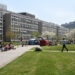 La o facultate din Olanda, la Computer Science o grupă numai din studenți români. Din Bihor, Gojdu și Eminescu dau cei mai mulți studenți pentru aceste facultăți