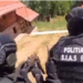Curtea de Apel Oradea a respins ca nefondate contestațiile rețelei româno-columbiano-israeliene care a pus pe picioare primul laborator de extragere a cocainei din cafea, din România la Zece Hotare